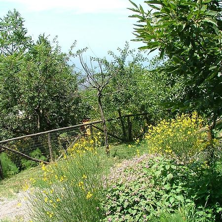 Villa Agriturismo La Ginestra Vico Equense Exterior foto